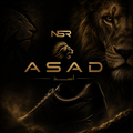NSR ASAD